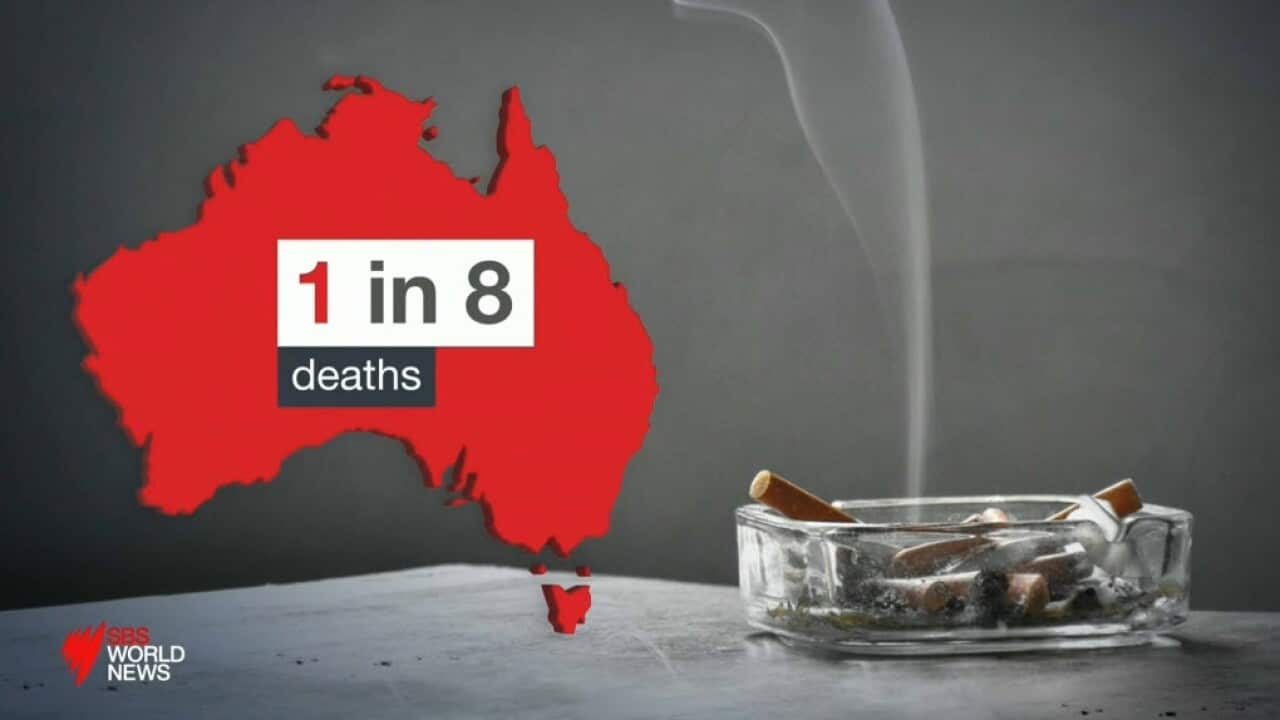 Australia's disadvantaged more likely to die from smoking related diseases SBS News