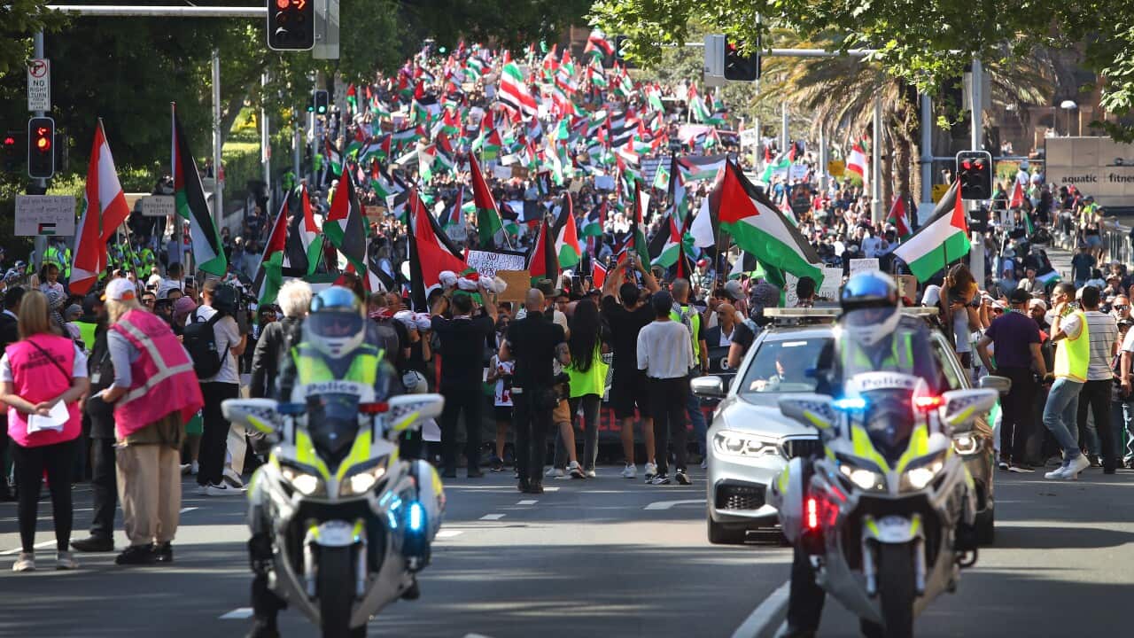 Israel-Palestine Conflict Demonstrations Continue To Shake Australia