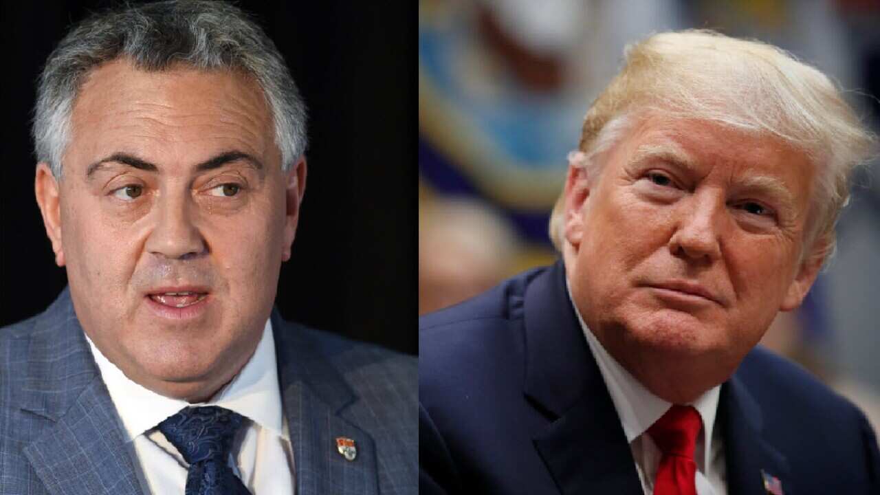 Joe Hockey thinks Donald Trump will be re-elected. 
