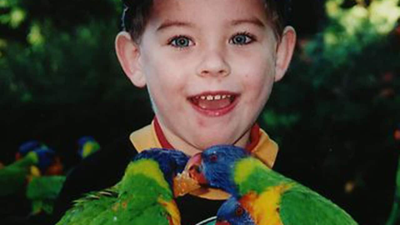 Sunshine Coast schoolboy Daniel Morcombe