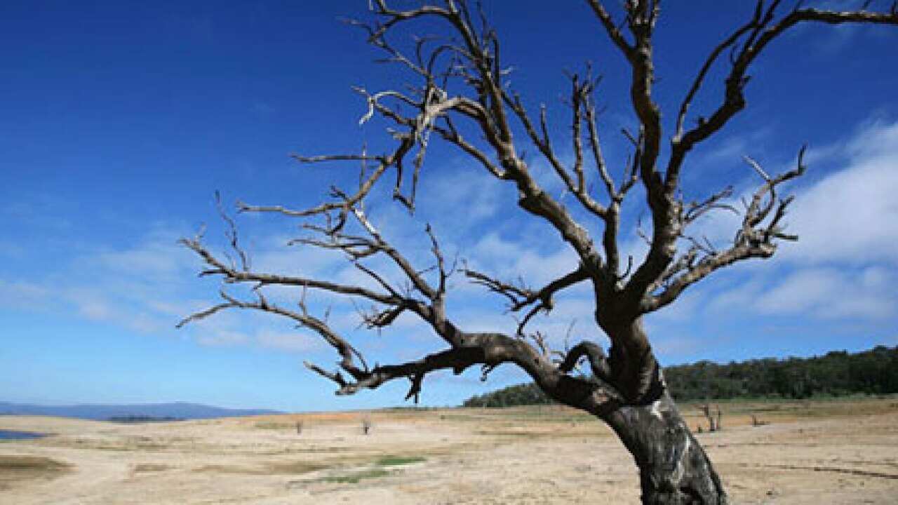 drought_australia_L_0612_aap_2060218203