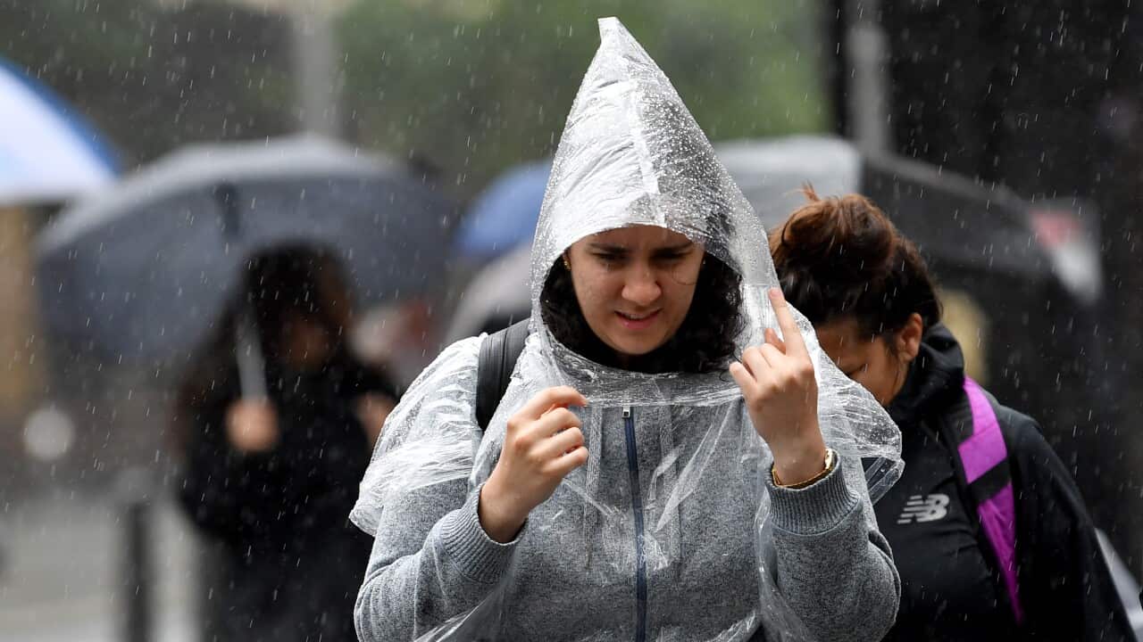 Pedestrians shelter from the rain under ponchos and umbrellas in Sydney.