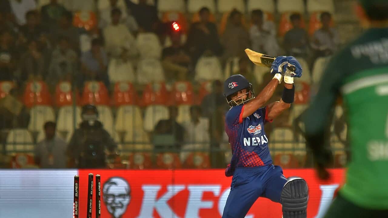 PAKISTAN CRICKET