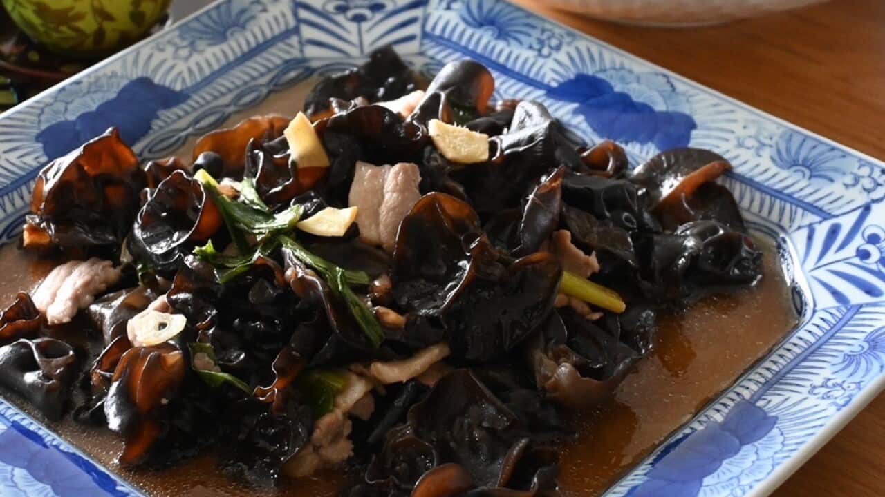 Mayu Tomau Mushroom.jpg