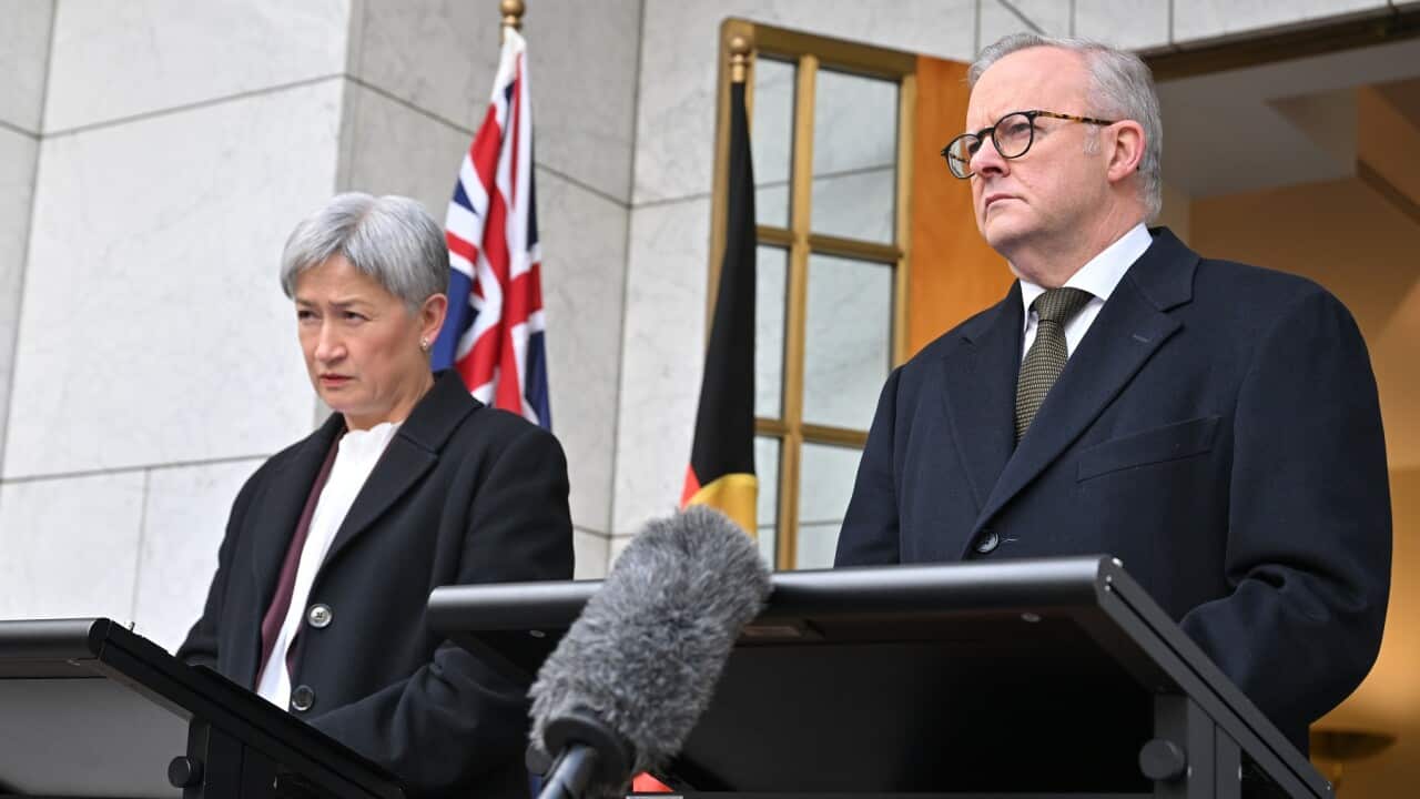 ANTHONY ALBANESE PRESSER