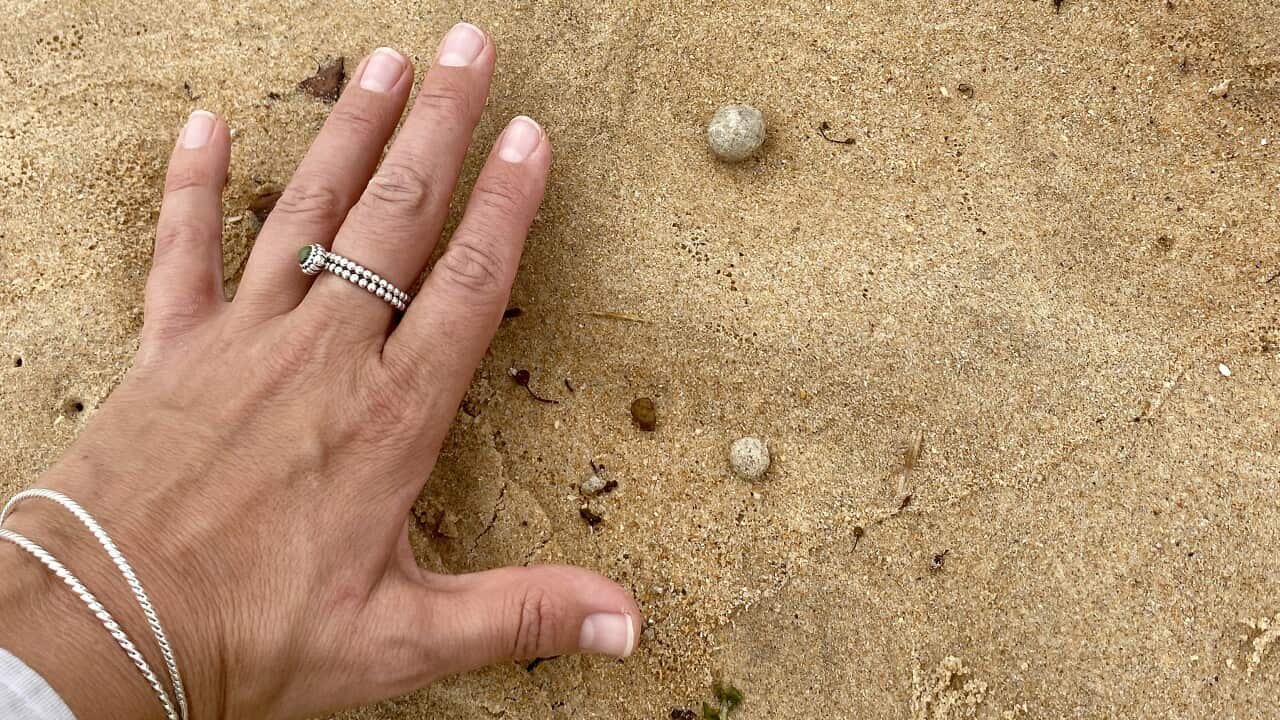 Image for read more article 'READ MORE'