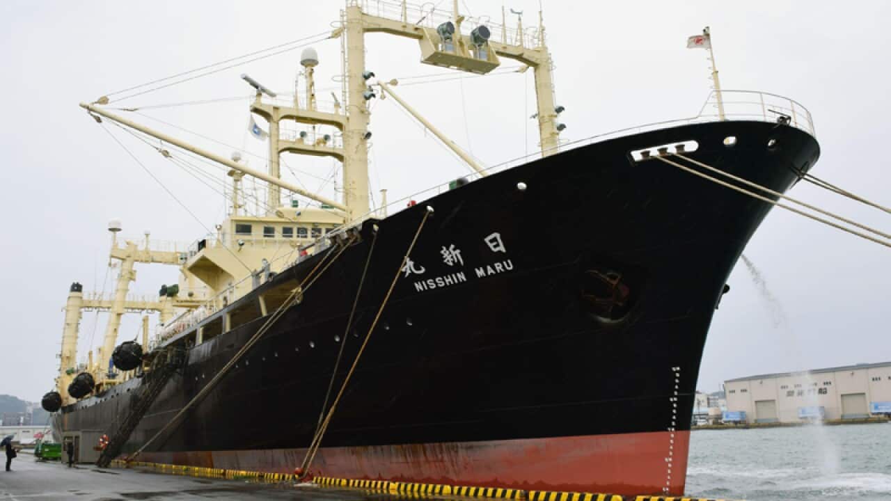 Japanese whaling vessel