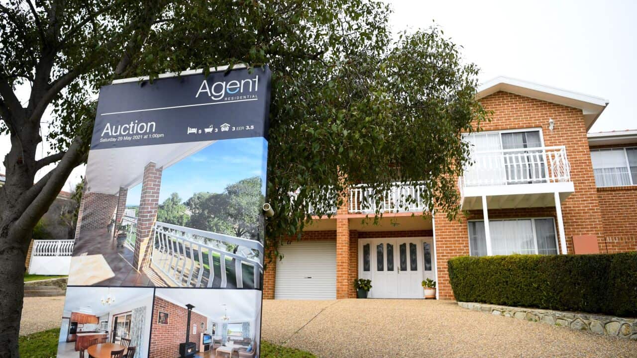 Image for read more article 'READ MORE'