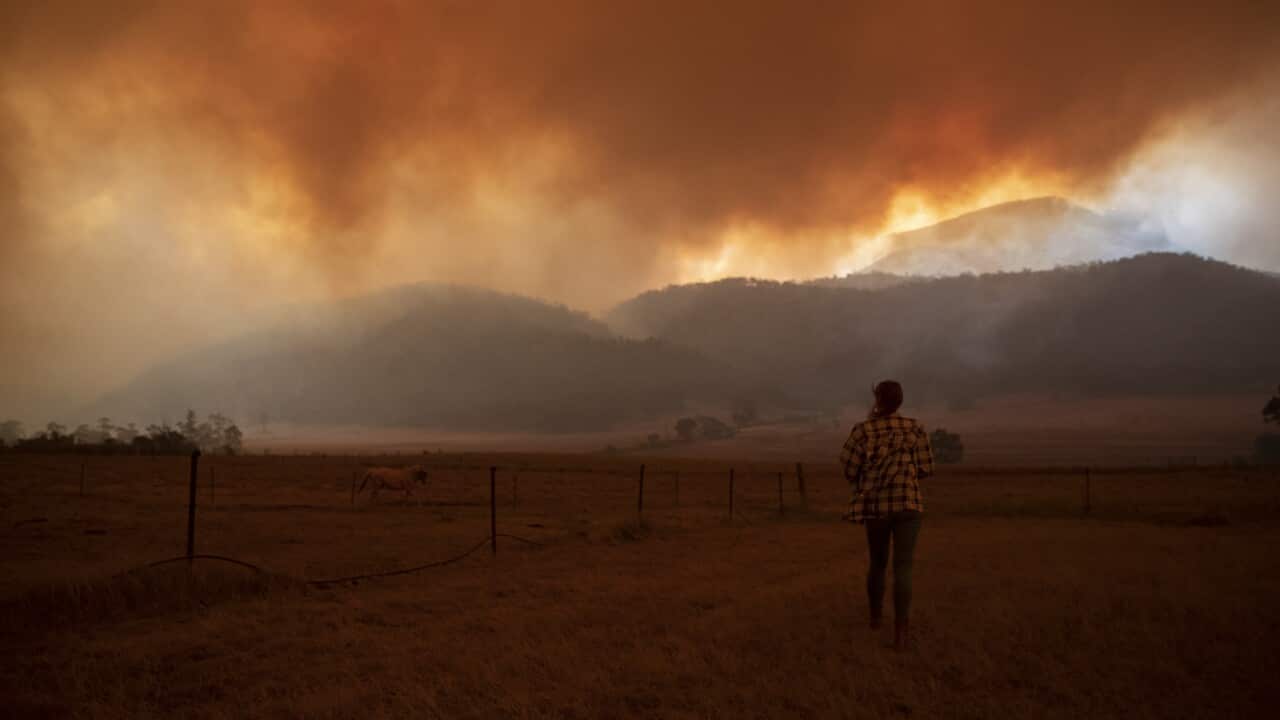 Claire Cowie watches over her horses as fire approached her property. Bumbalong Road, Bredbo North. February 01, 2020.
