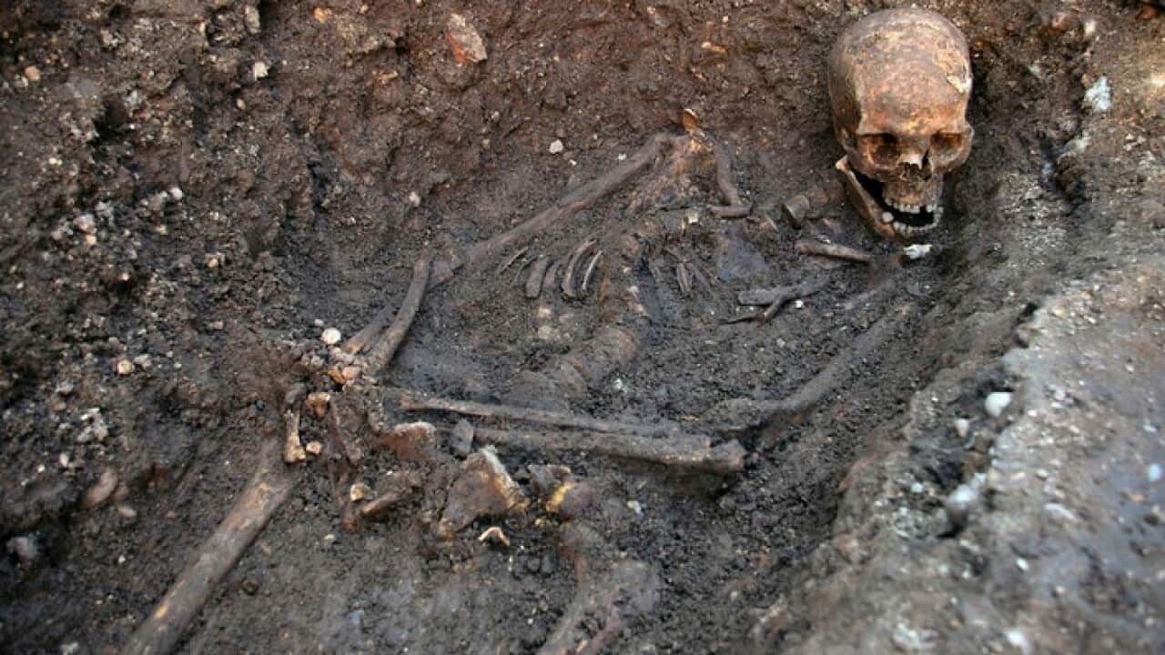 Remains identified as King Richard III.
