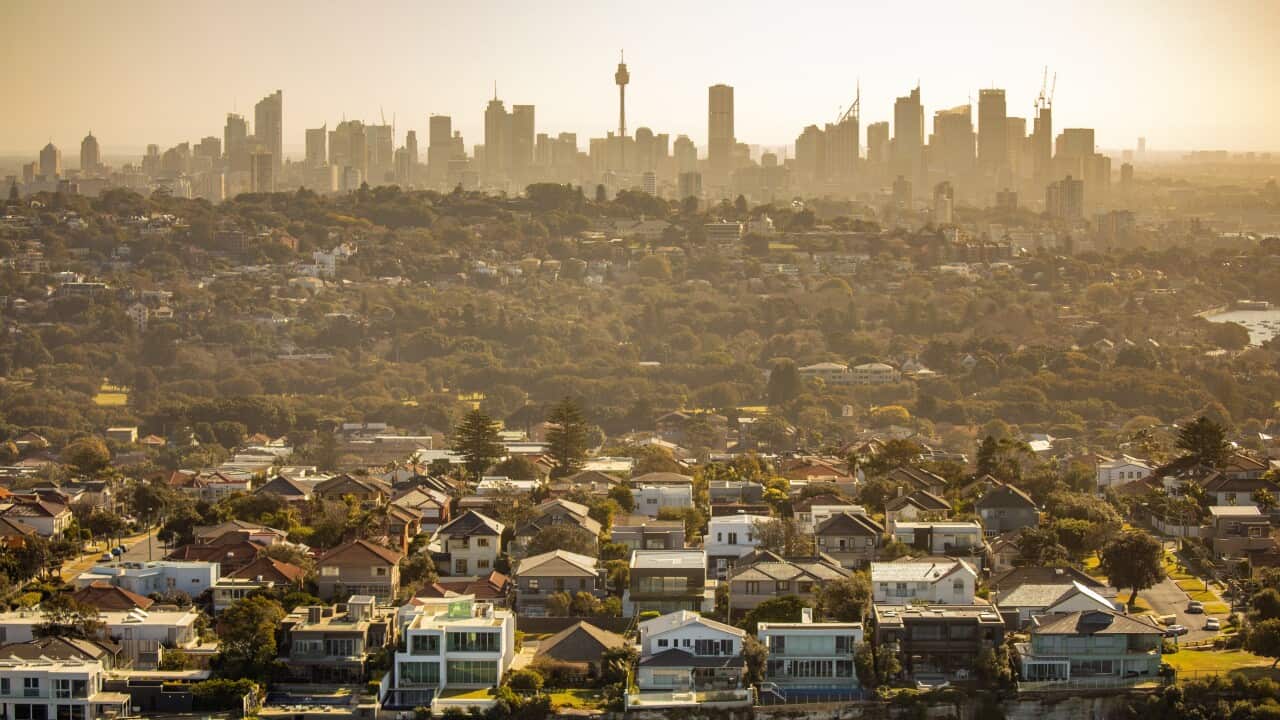 The Sydney city skyline in the distance with houses in the foreground