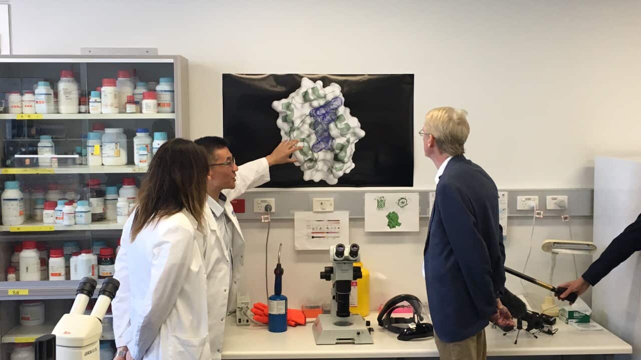 Venetoclax given TGA approval