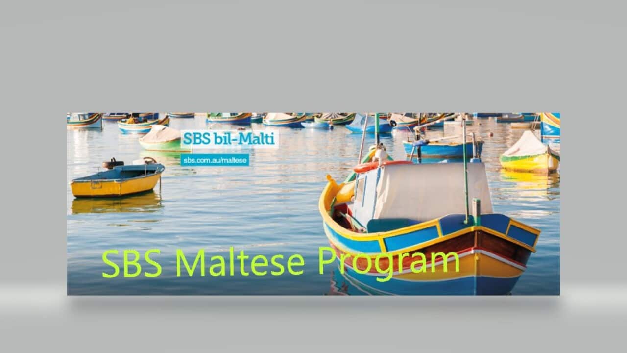 SBS Malt Prog 4.jpg