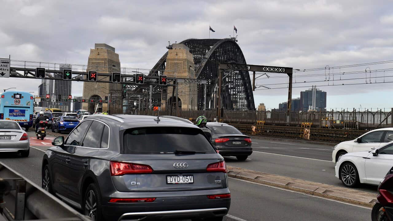 SYDNEY HARBOUR BRIDGE CLIMBER