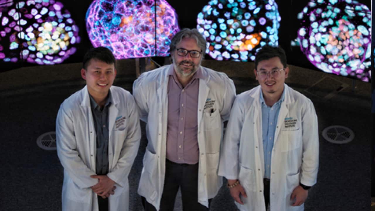 Image for read more article 'Contenido relacionado:'