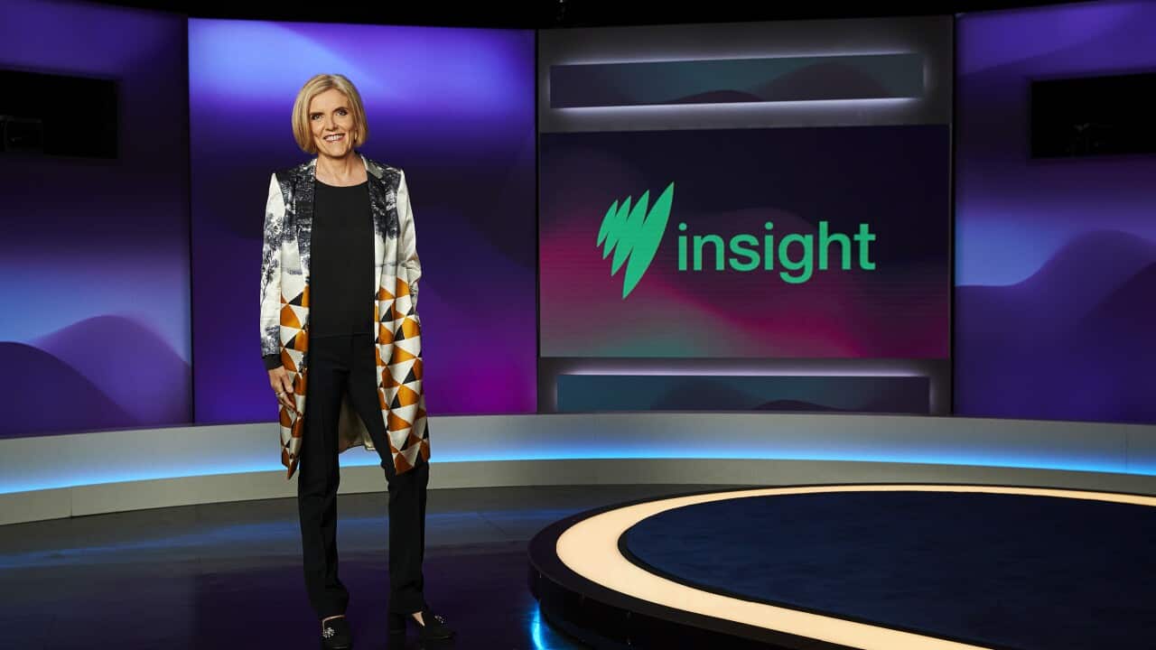 Insight livestream