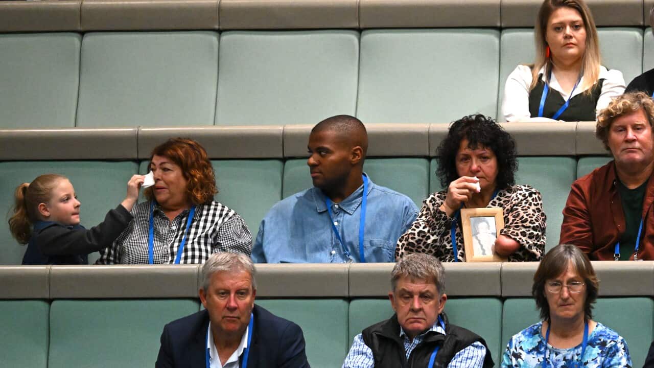 ANTHONY ALBANESE THALIDOMIDE APOLOGY