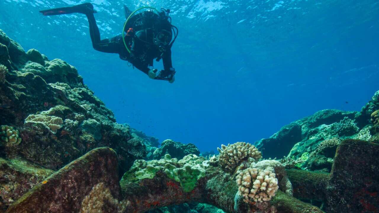 a_diver_at_a_shipwreck_in_the_great_barrier_reef_aap_704.jpg