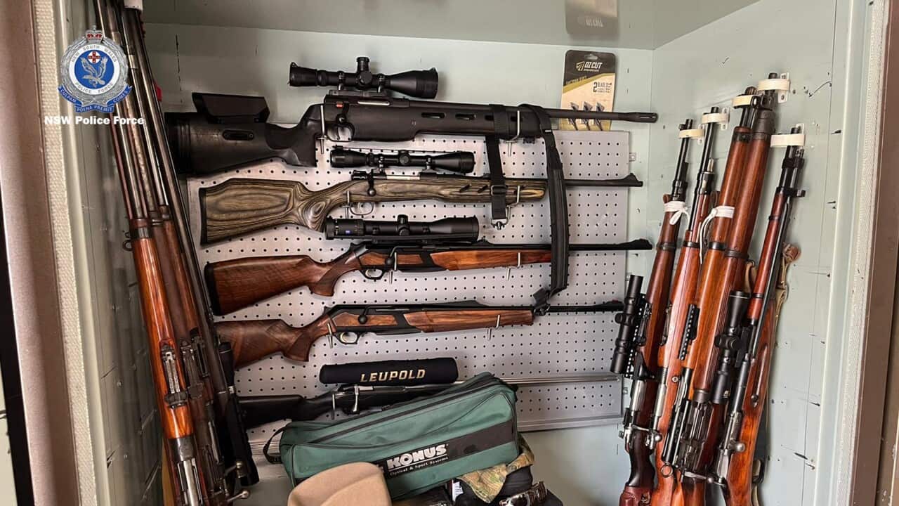 NSW POLICE FIRARMS SEIZURE