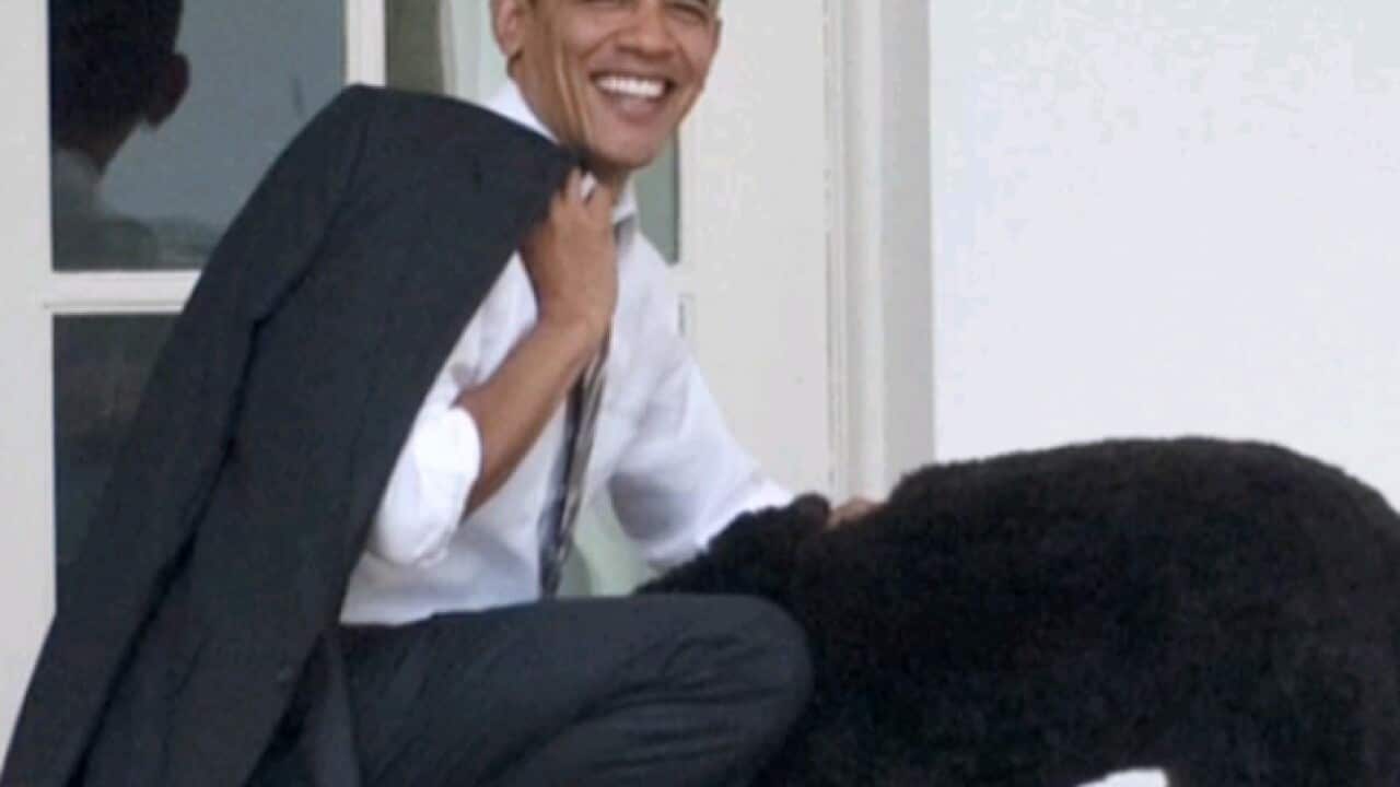 obama_dog_120419_b_1086787114