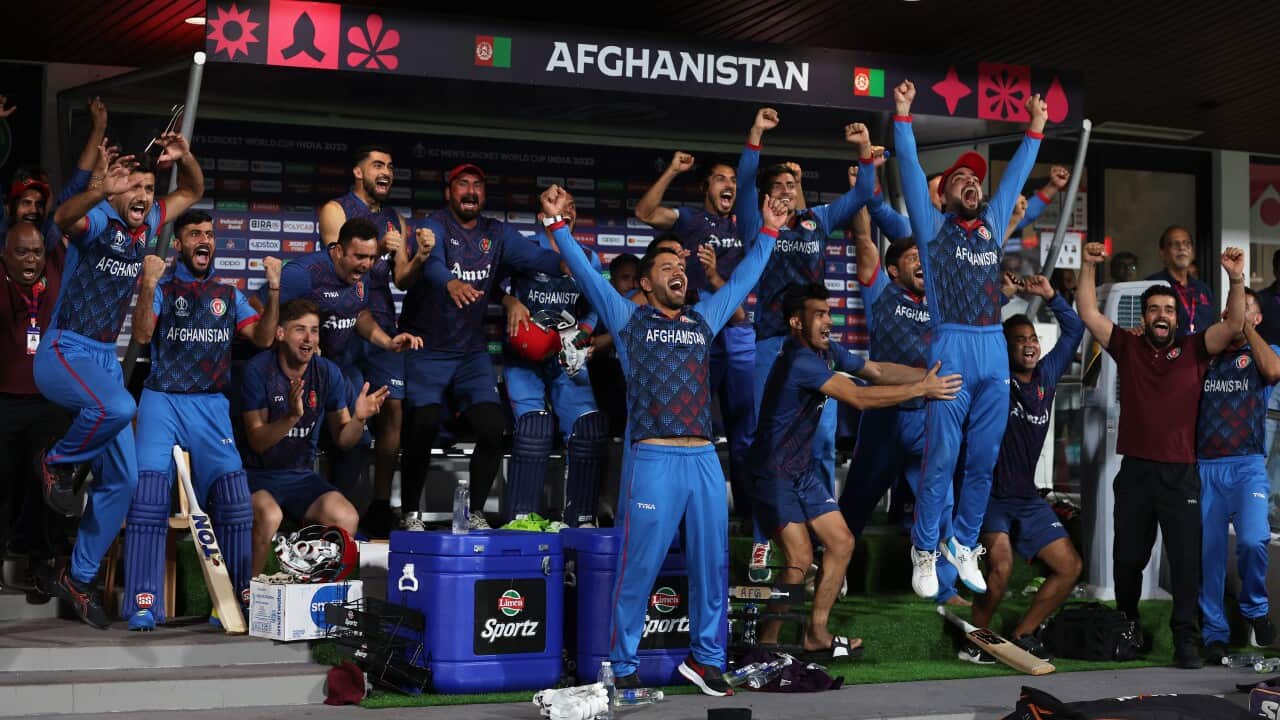 Pakistan v Afghanistan - ICC Men's Cricket World Cup India 2023