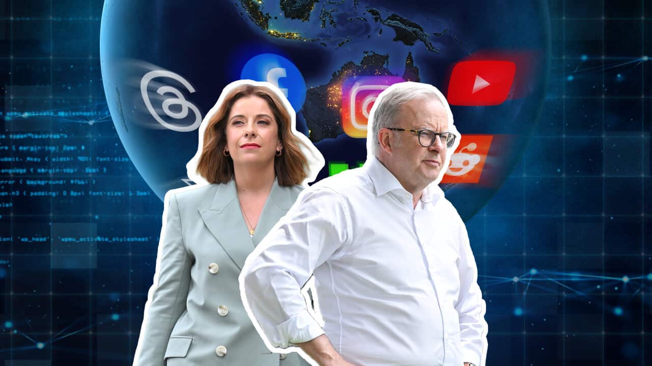A composite of Anthony Albanese, Anika Wells and social media icons