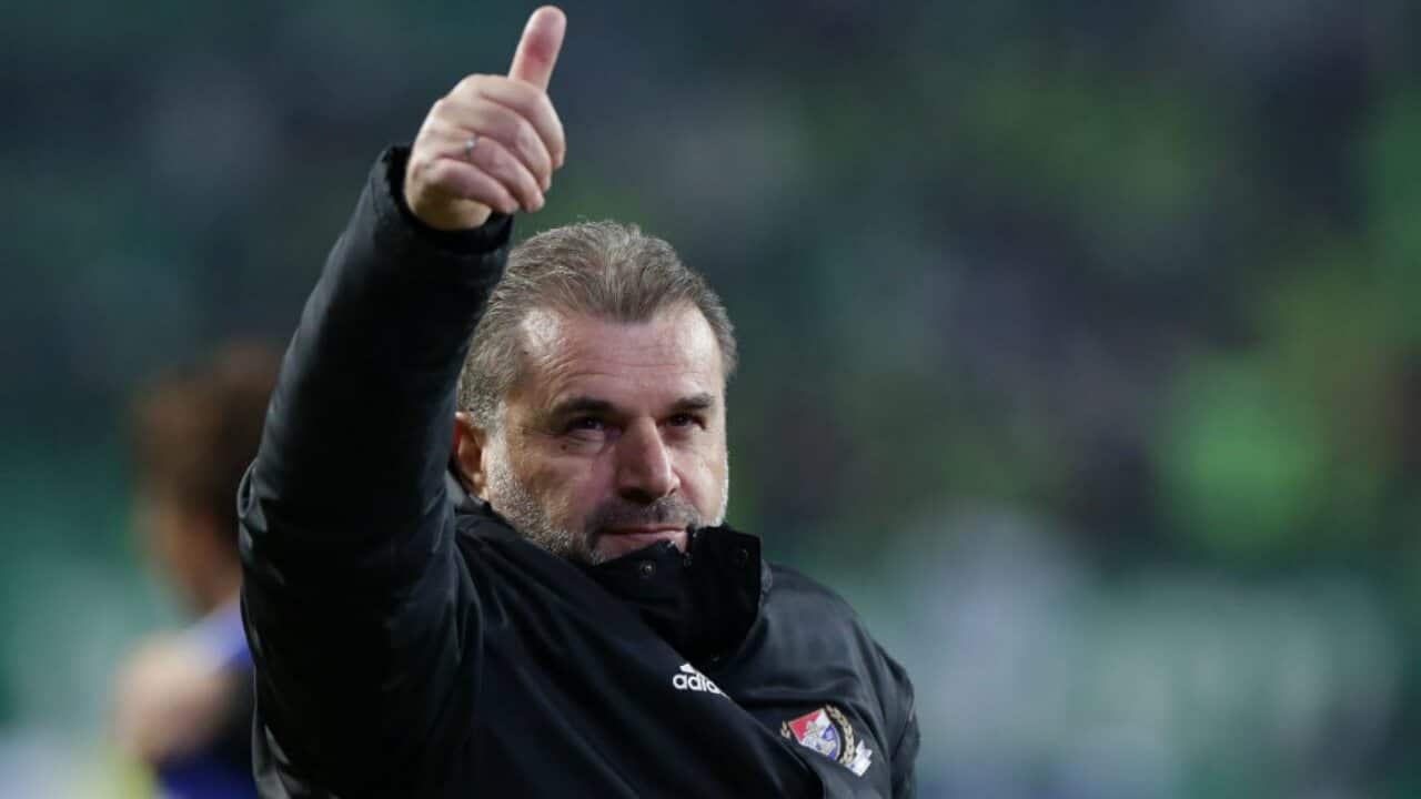 Ange Postecoglou