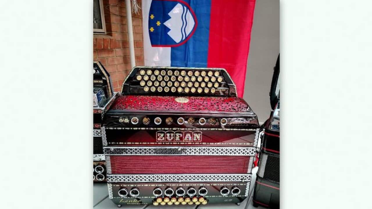 Zupan button accordion