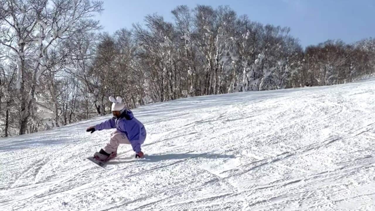 滑雪安全 小兔3.jpeg