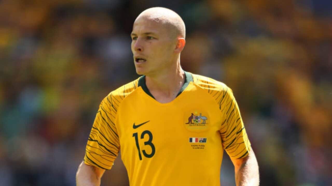 Image for read more article 'READ MORE'