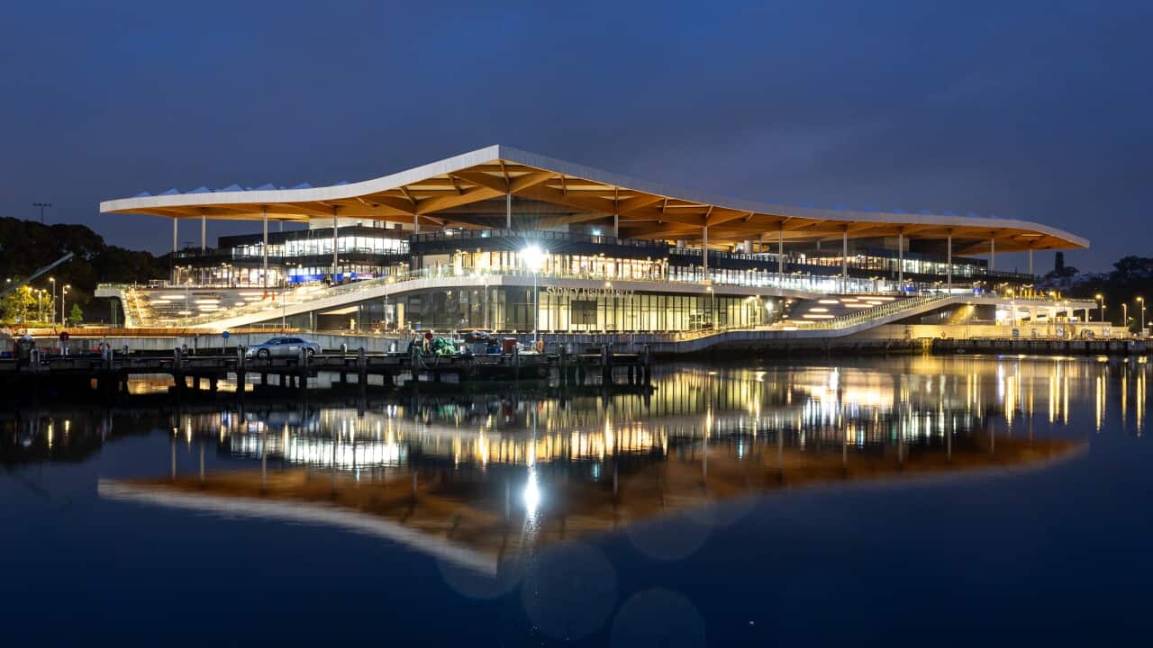 SYDNEY FISH MARKET OPENING