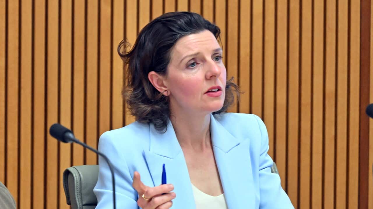 New turn in ‘offensive’ pamphlet Saga focused on green -blue MP Allegra Spender New turn in ‘offensive’ pamphlet Saga focused on green -blue MP Allegra Spender