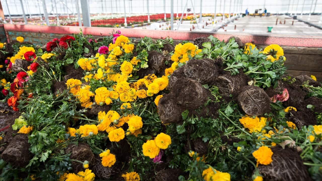 Image for read more article 'READ MORE'