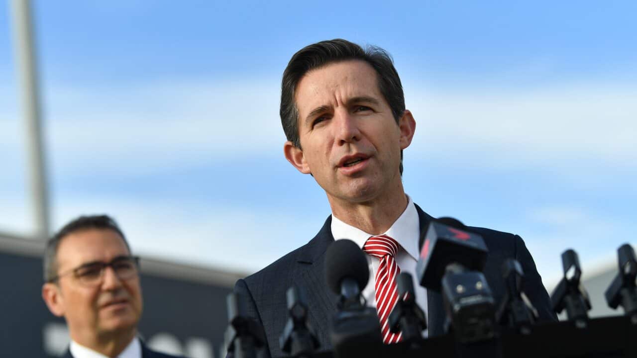 Federal Minister for Trade Simon Birmingham.