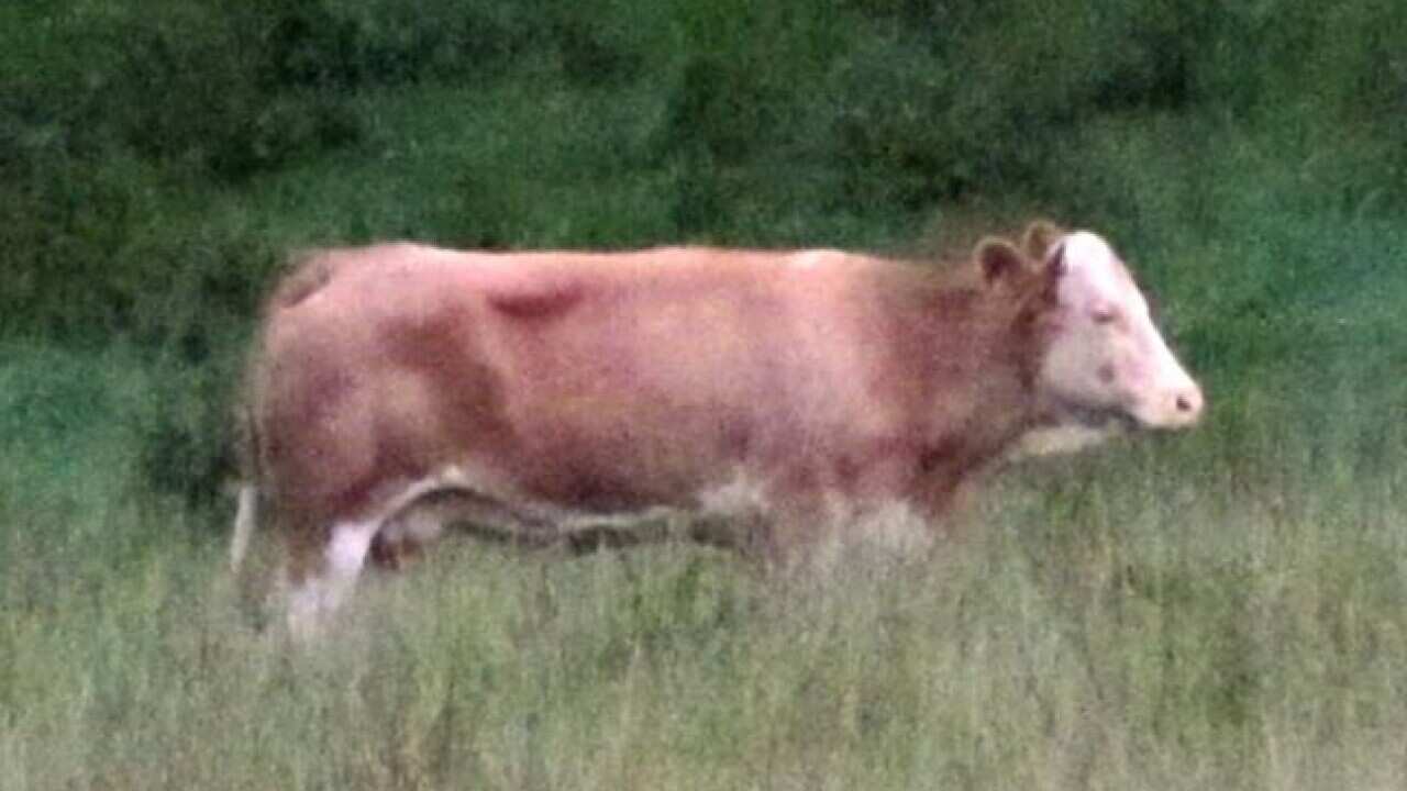 Yyvonne_L_spiegel_186454066