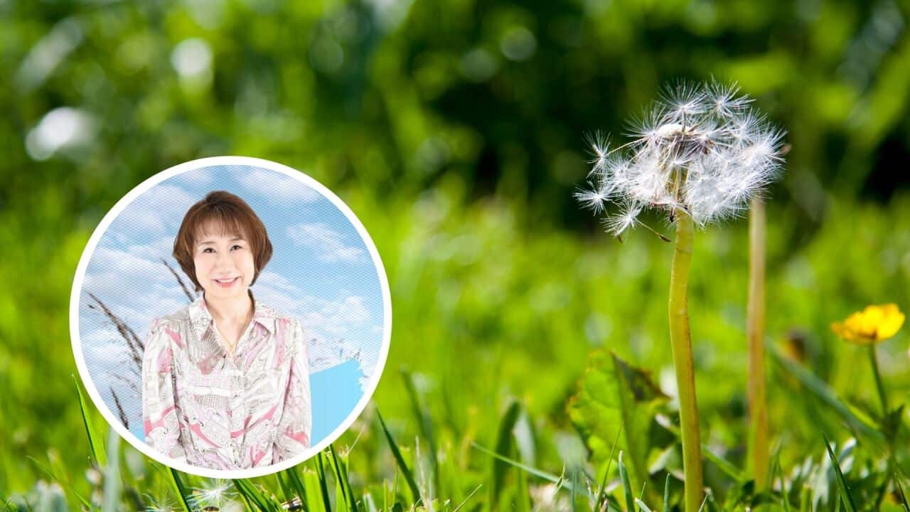 Hay fever.jpg