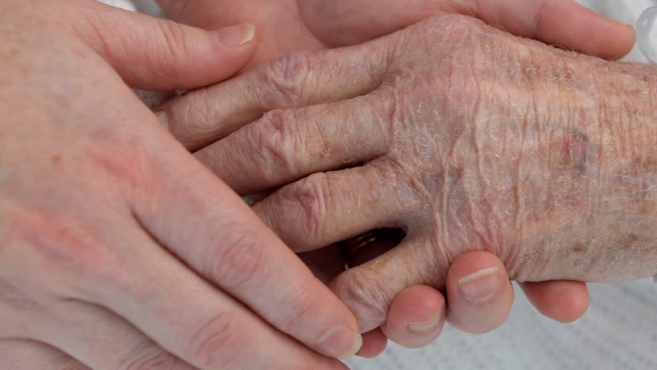 A nurse holds the hand of an elderly patient in a hospital