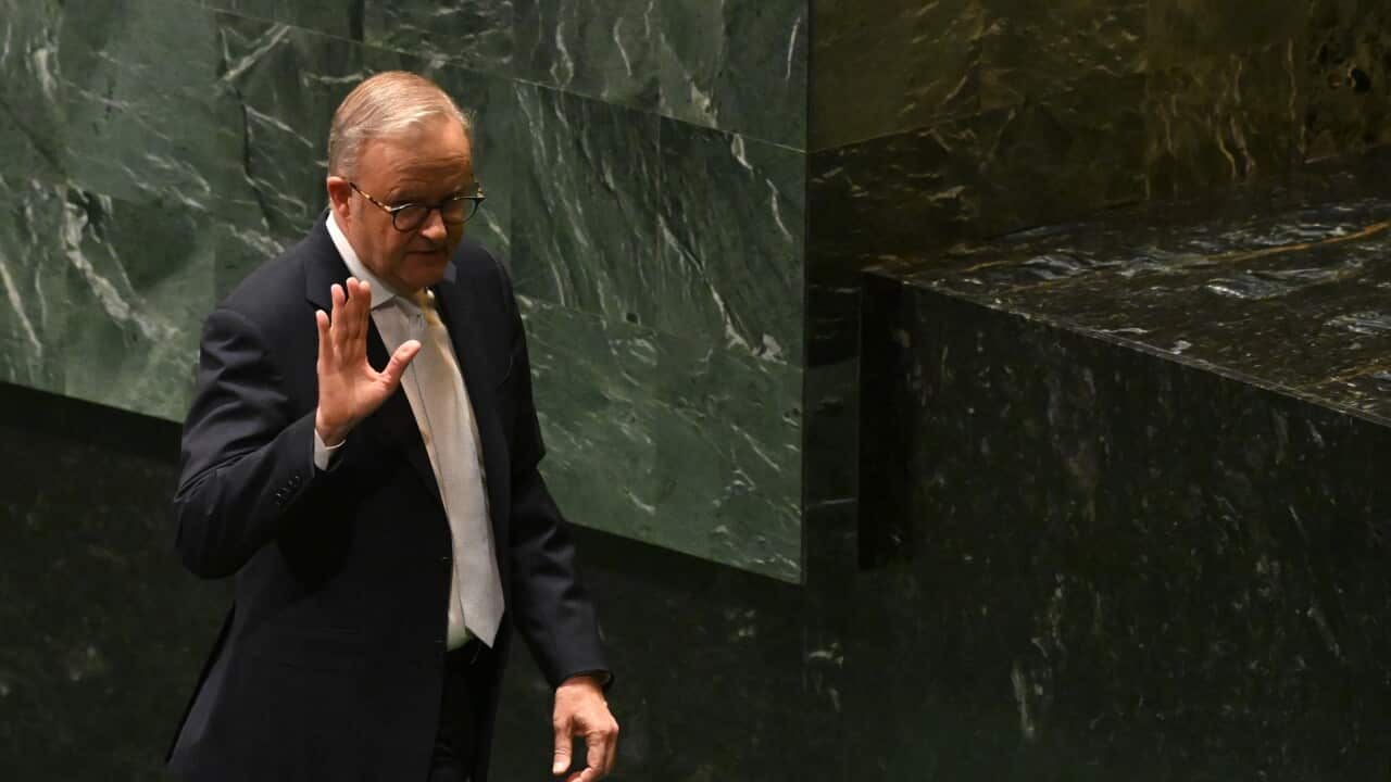 ANTHONY ALBANESE UNITED NATIONS