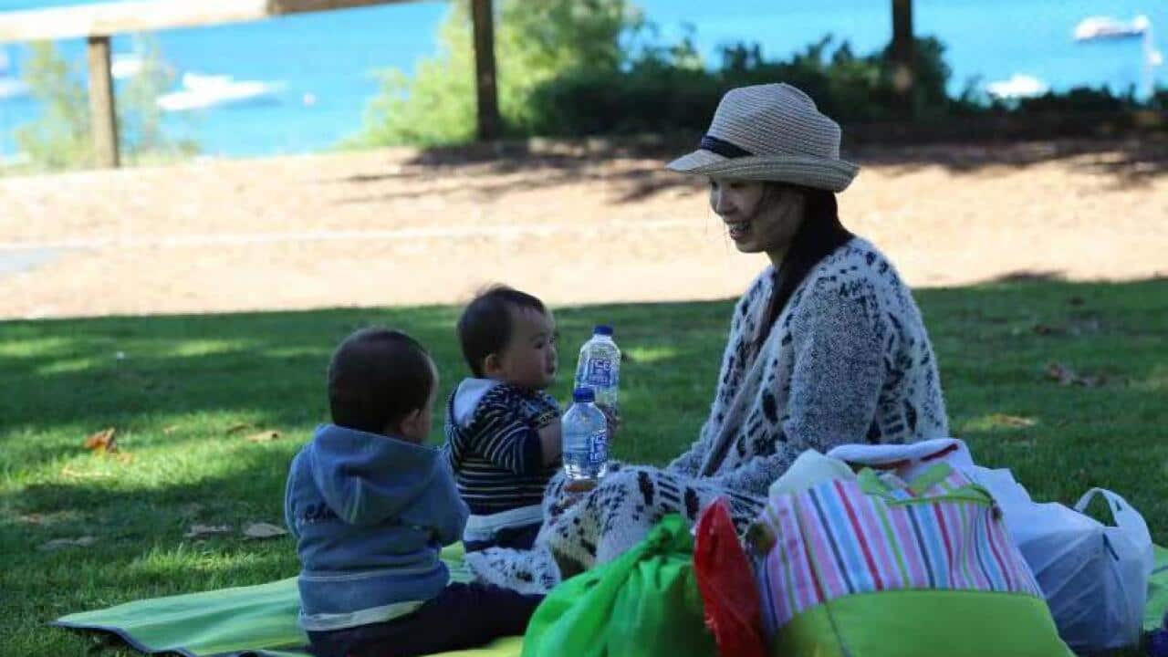 Image for read more article 'READ MORE'