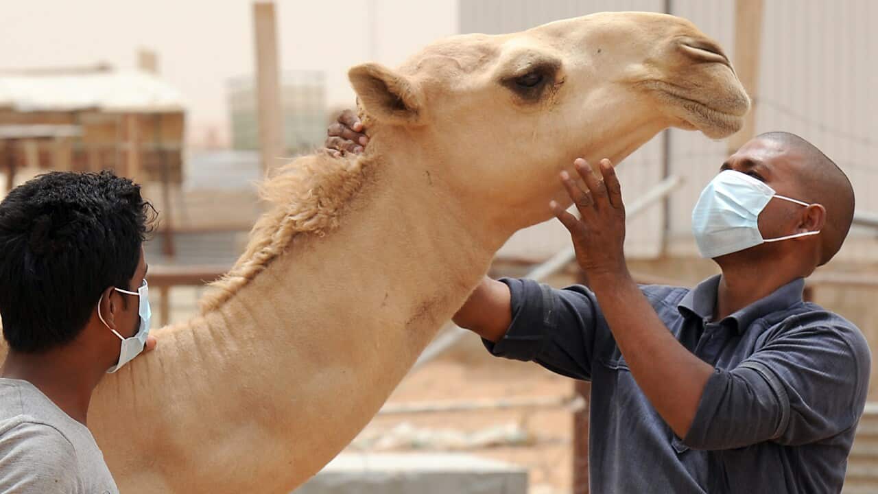 MERS