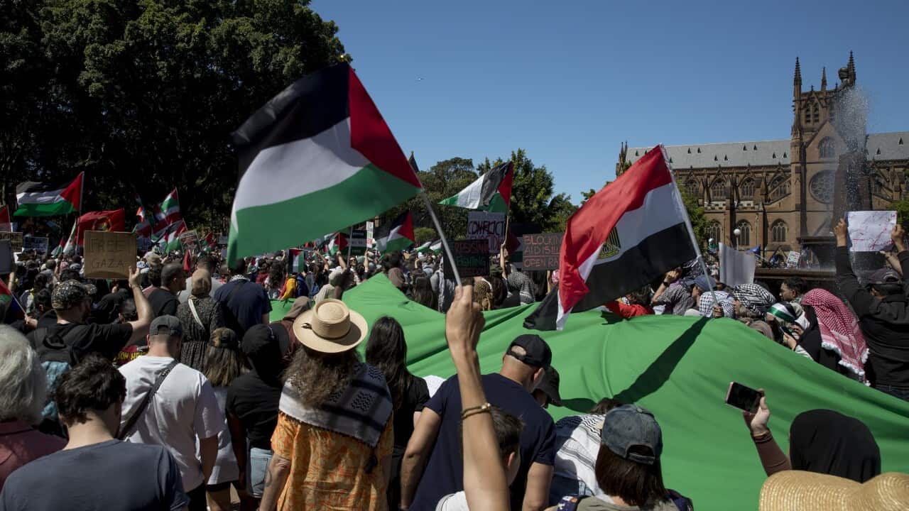 FREE PALESTINE RALLY SYDNEY