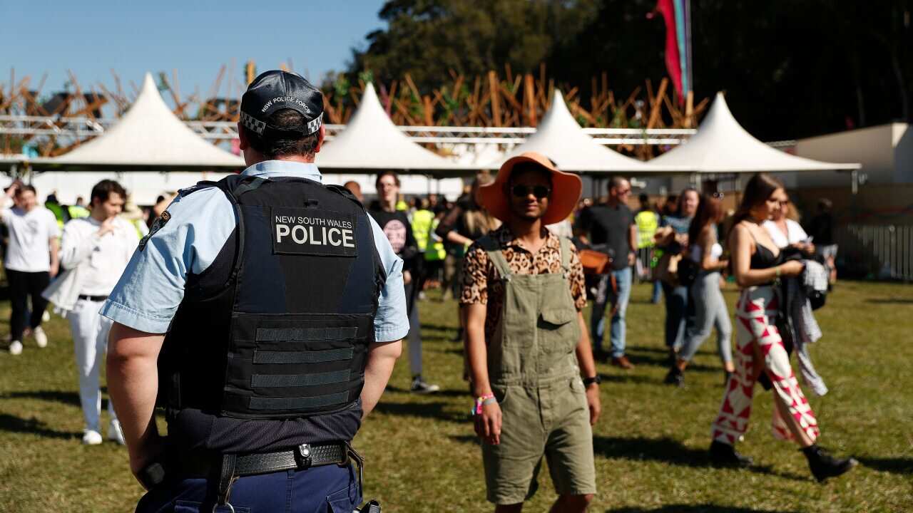 Police officers and drug detection dogs walk amongst festival goers by an entrance to Splendour In The Grass 2019 on July 19, 2019