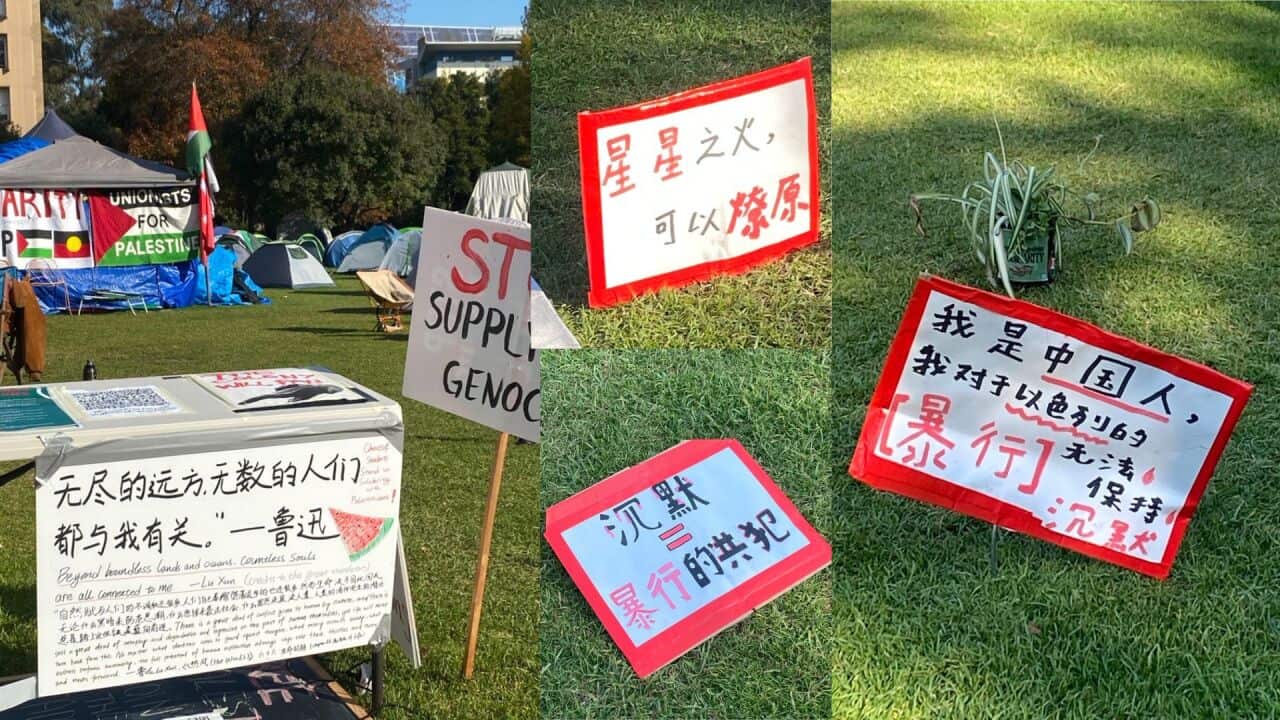 Image for read more article ''