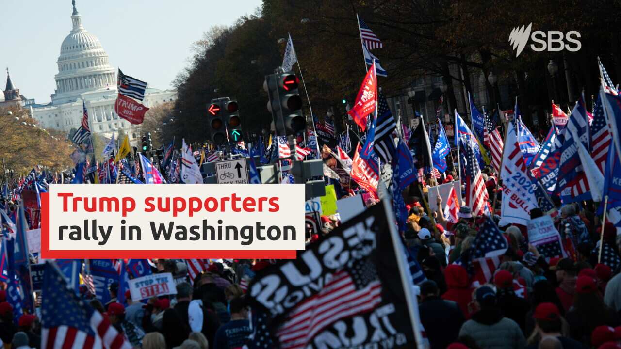 Thousands of Trump supporters march on Washington DC | SBS News