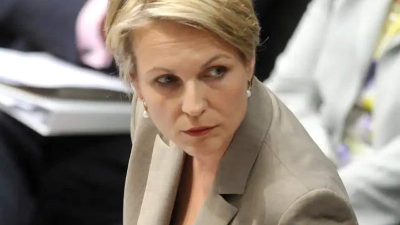 Tanya Plibersek apologised after comparing Peter Dutton to Voldemort (AAP).