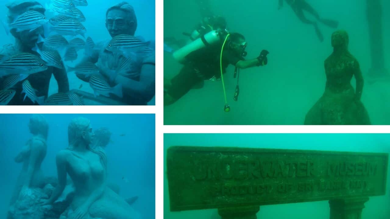 What's to see at the first underwater museum in Sri Lanka?