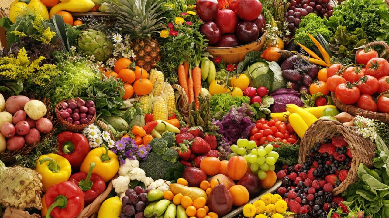 Variety of fruits and vegetables