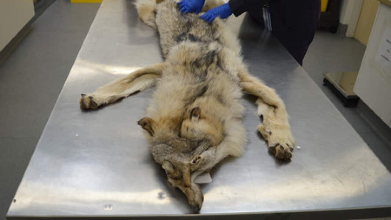 Image for read more article ''