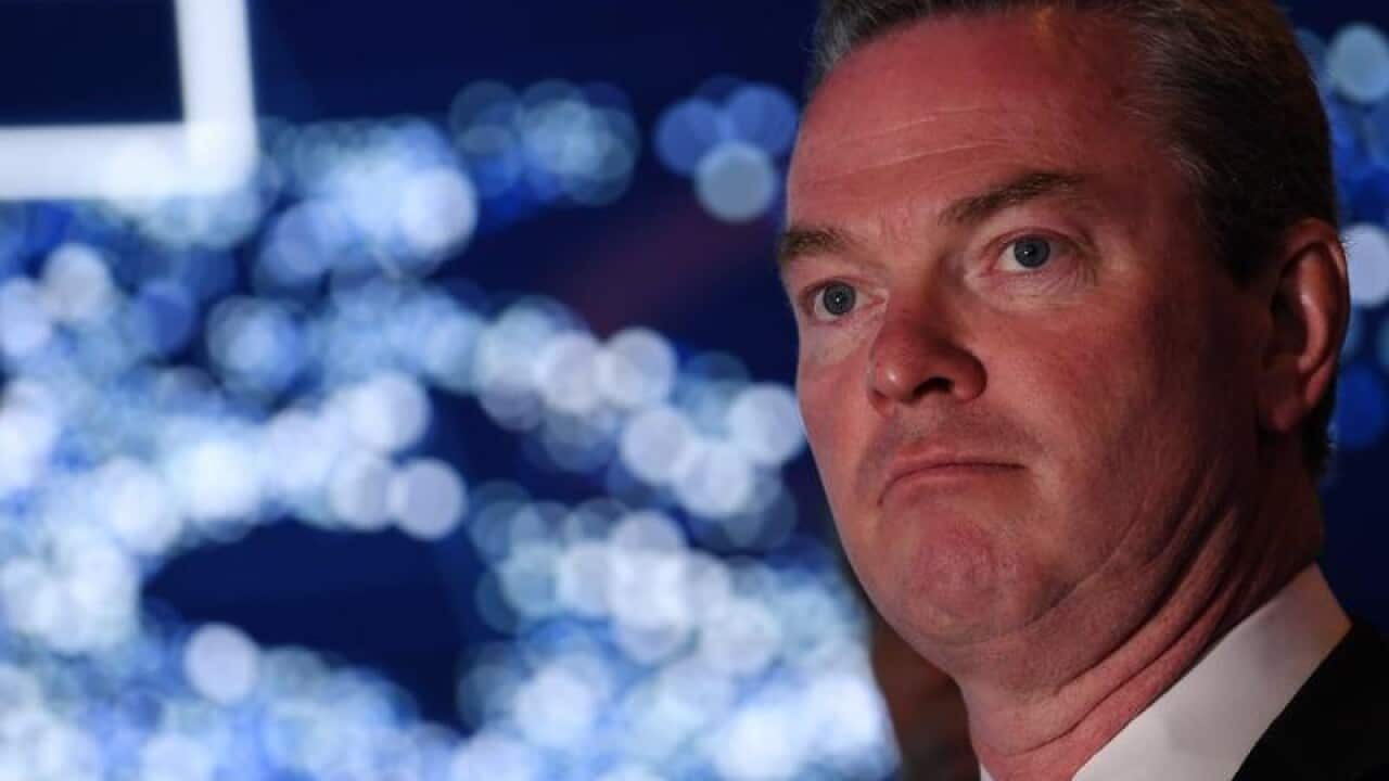Australian Defence Industry Minister Christopher Pyne