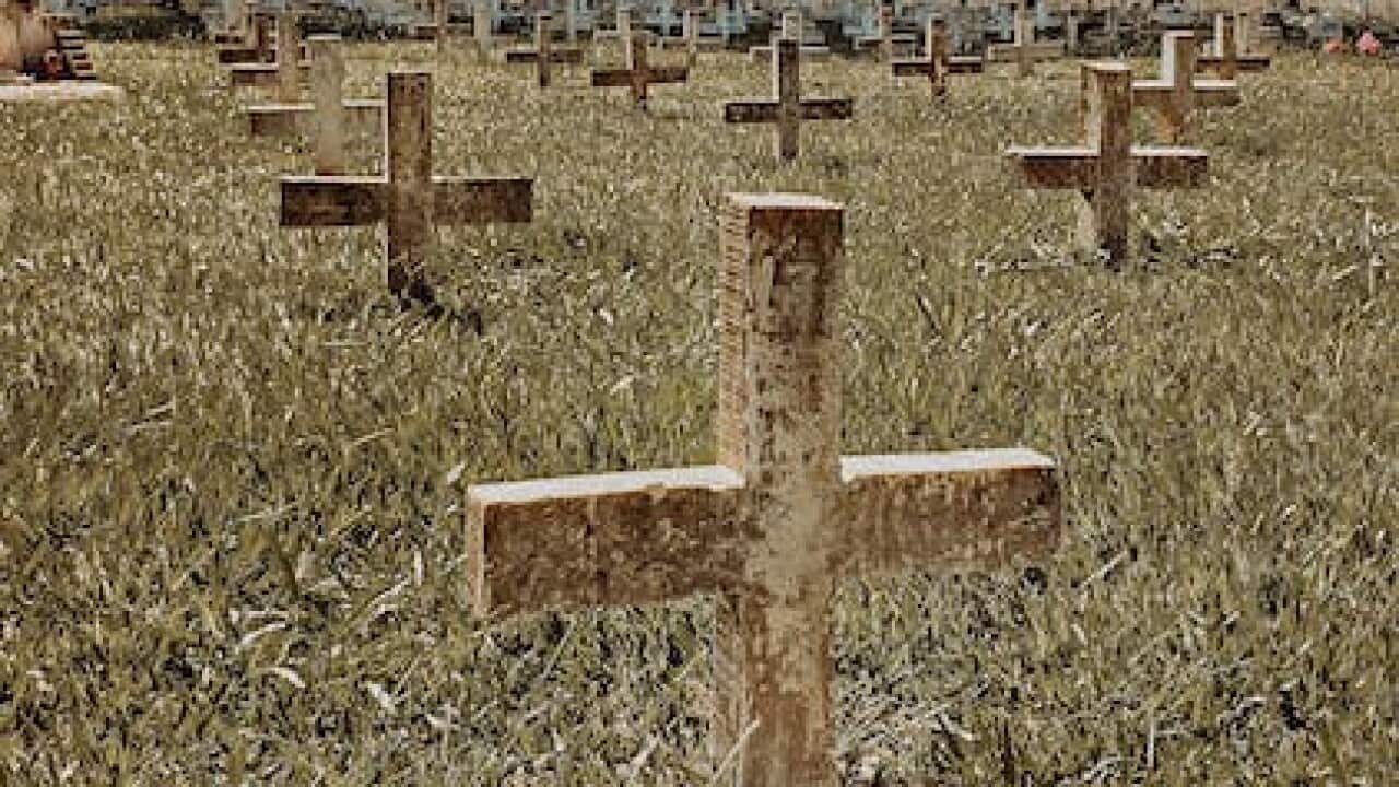 Pexels-photo-Sergio Souza.jpeg